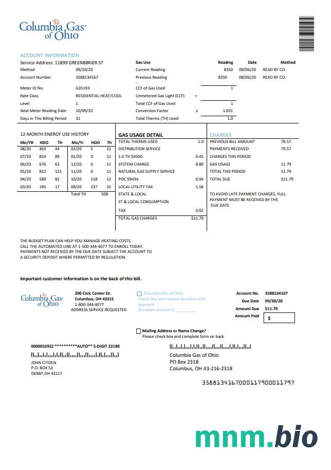 Szablon rachunku za media w USA Columbia Gas of Ohio w formacie Word i PDF